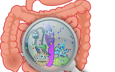 Gut Bacteria – The Key to Healthy Living
